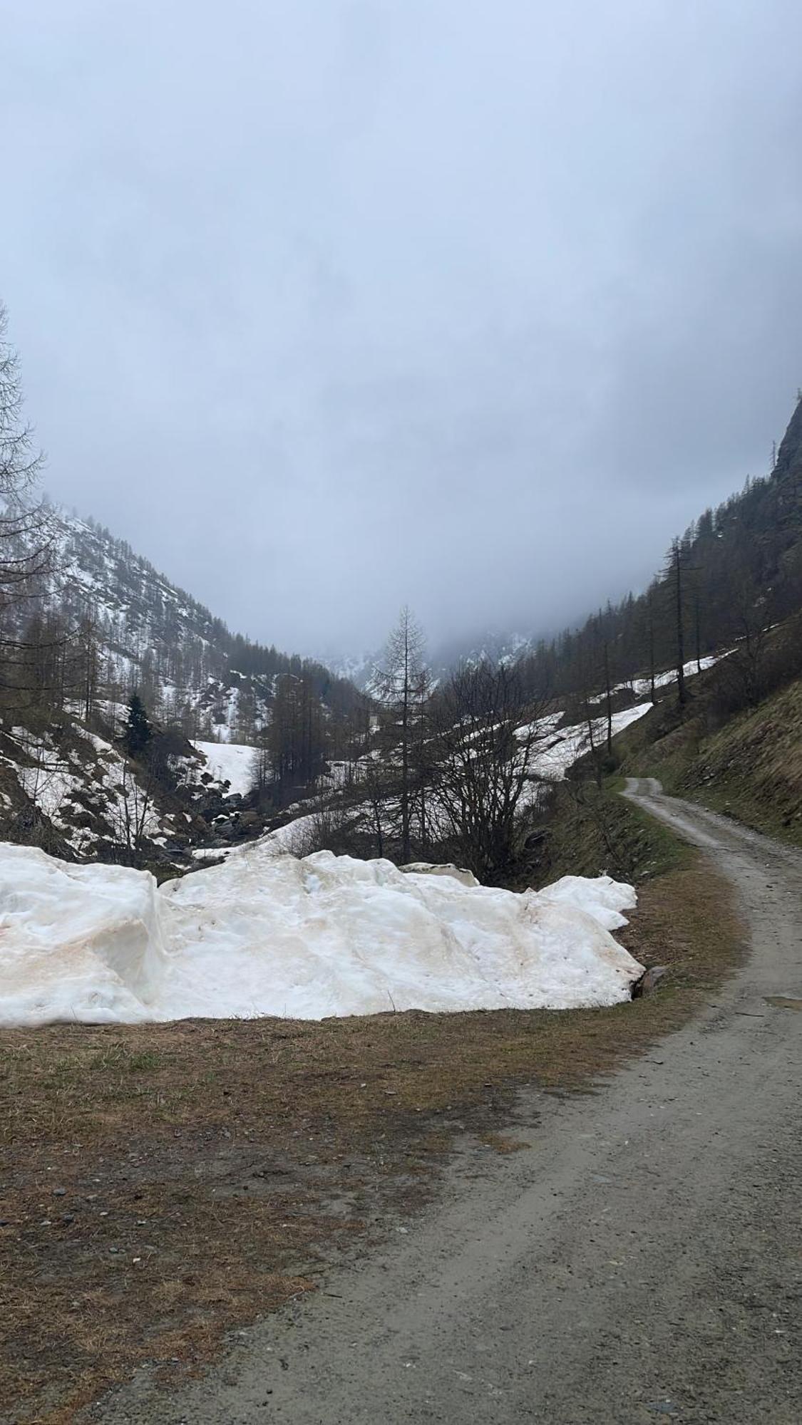 Laghi Di Como Appartamento Di Licinia E Mario Asso Dış mekan fotoğraf