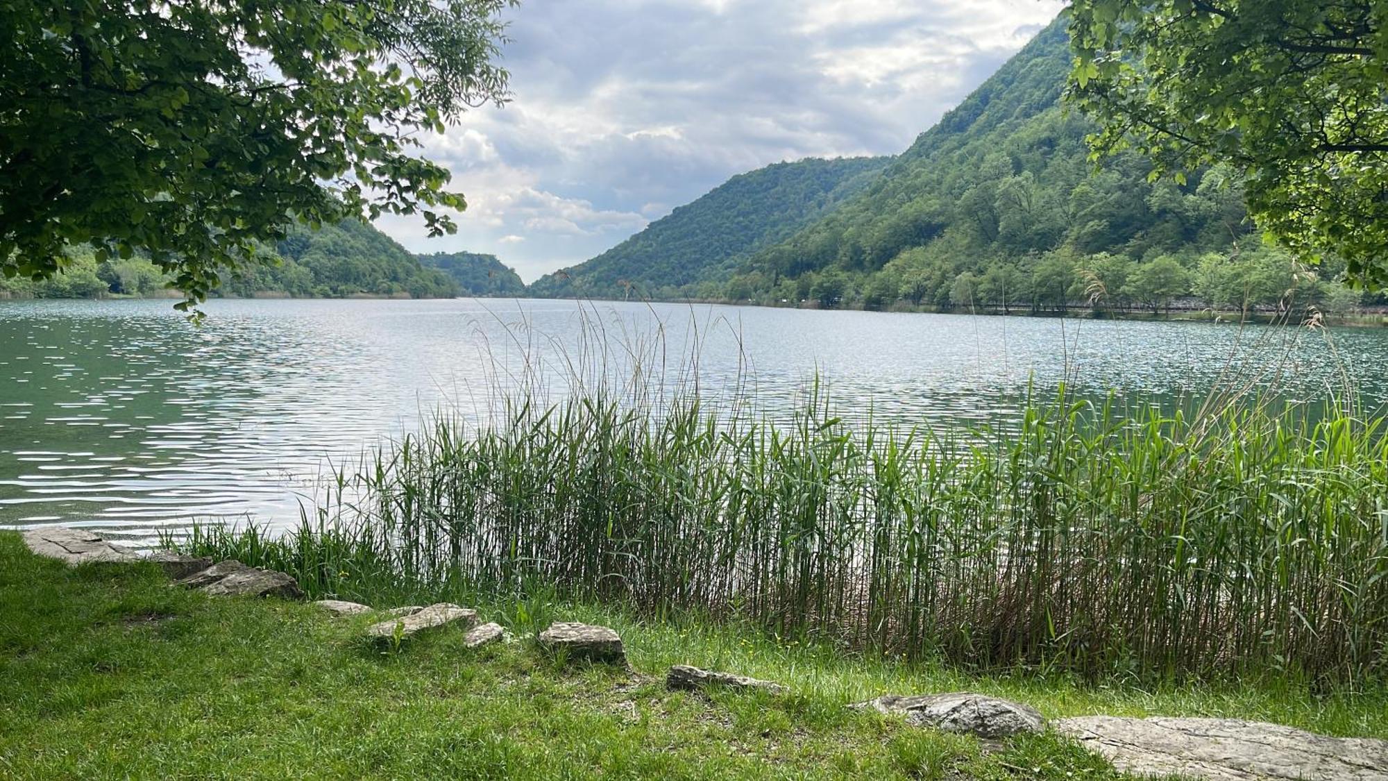 Laghi Di Como Appartamento Di Licinia E Mario Asso Dış mekan fotoğraf